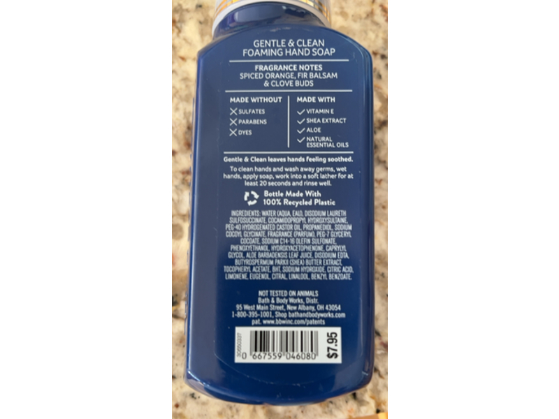 Bath & Body Works Gentle & Clean Foaming Hand Soap, Winter, 8.75 fl oz/259mL