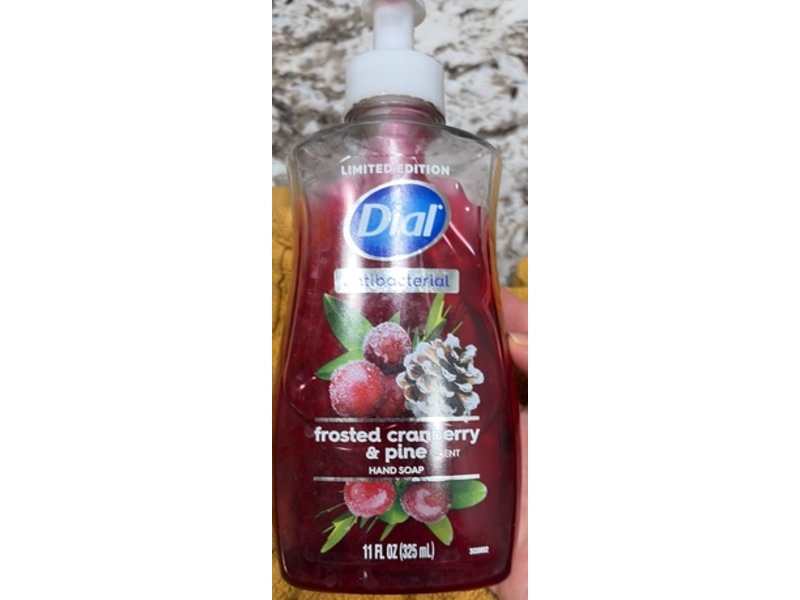 Dial Antibacterial Hand Soap, Frosted Cranberry & Pine, 11 fl oz/325 mL