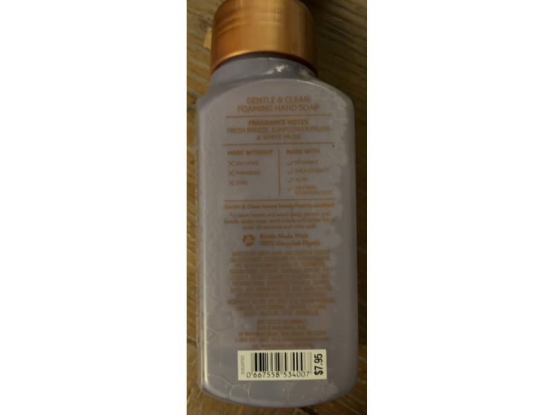 Bath & Body Works Gentle Foaming Hand Soap, Wildflower Fields, 8.75 fl oz/259 mL