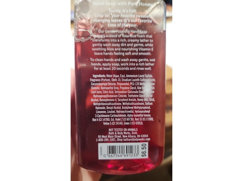 Bath & Body Works Gentle Foaming Hand Soap, Wild Blackberries, 8.75 fl oz/259 mL