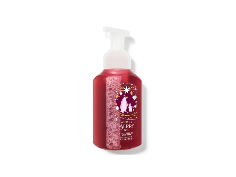 Bath & Body Works Gentle Foaming Hand Soap, Winter Berry Ice, 8.75 fl oz/259 mL