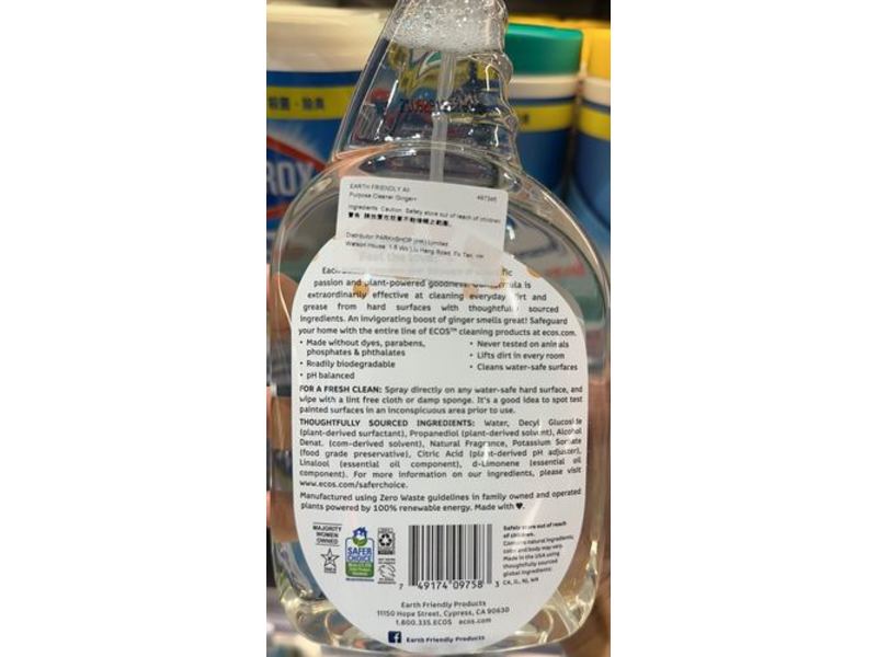 Earth Friendly All Purpose Cleaner, Ginger Plus, 22 fl oz/650 mL