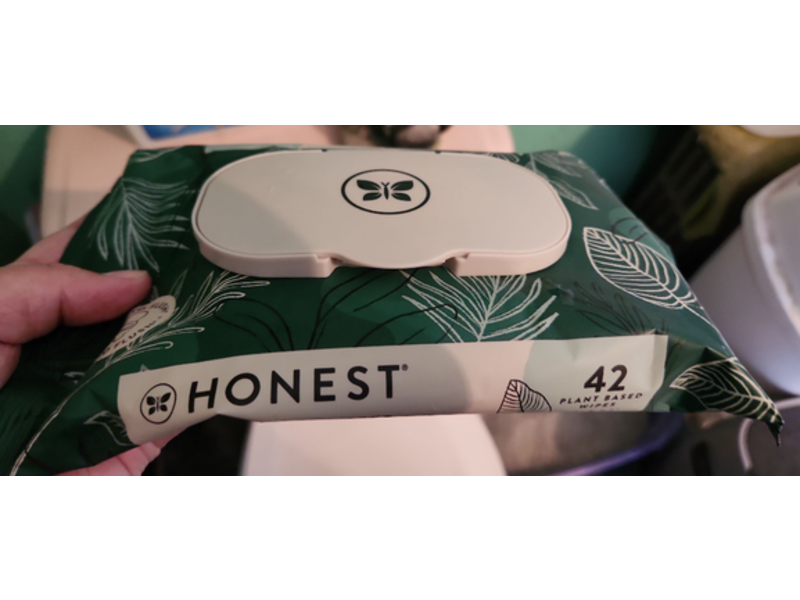 The Honest Company Plant-Based Flushable Wipes, 42 Count