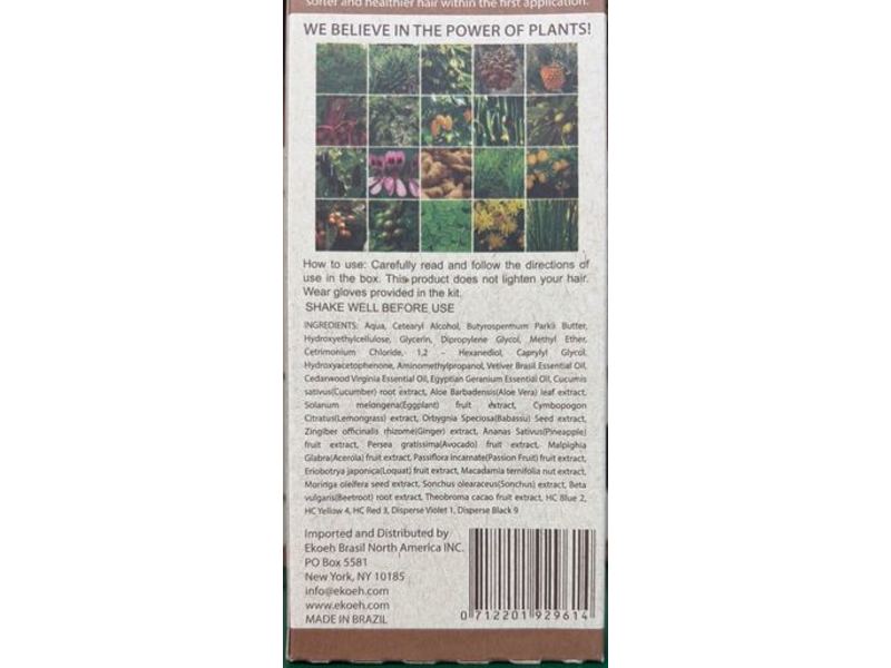 Ekoeh Brasil Hair Food Color Cream, Dark Brown, 2.7 fl oz/80 mL