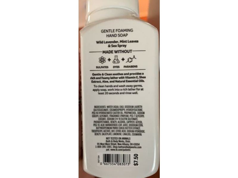 Bath & Body Works Gentle & Clean Foaming Hand Soap, Wild Lavender Mint, 8.75 fl oz/259 mL