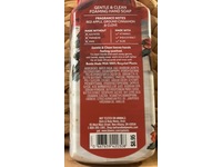 Bath & Body Works Gentle & Clean Foaming Hand Soap, Tis The Season, 8.79 fl oz/259 mL - Image 4