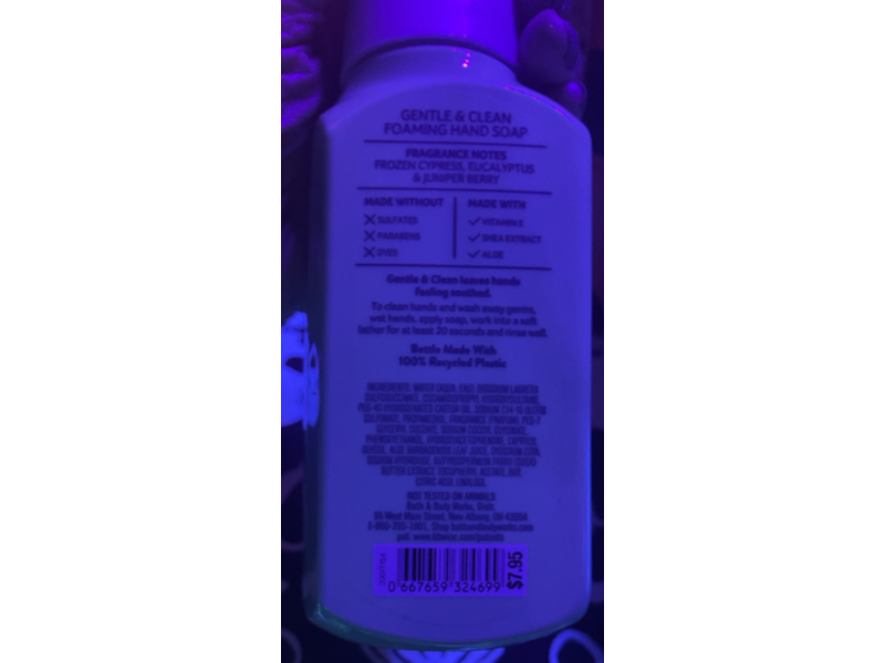 Bath & Body Works Gentle & Clean Foaming Hand Soap, Frozen Lake, 8.75 fl oz/259 mL