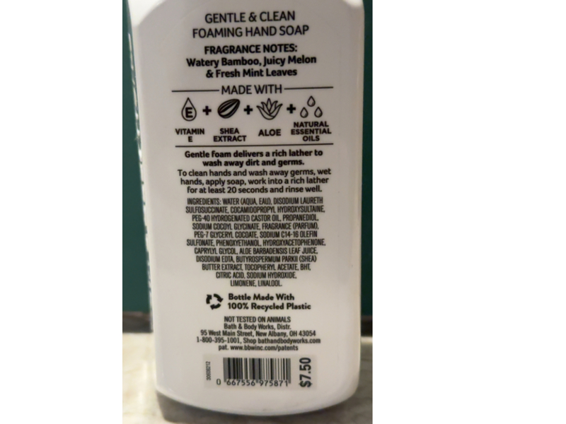 Bath & Body Works Gentle & Clean Foaming Hand Soap, Sweet Mint & Rain, 8.75 fl oz/259 mL