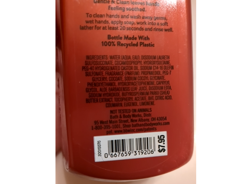 Bath & Body Works Gentle & Clean Foaming Hand Soap, 'Tis the Season, 8.75 fl oz/259 mL