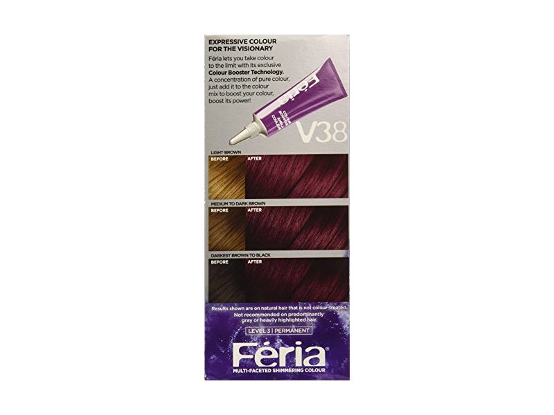 L'Oreal Hair Color Feria Power Dye, Violet Noir V38