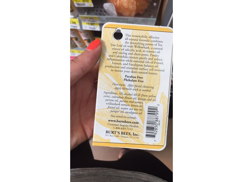 Burt's Bees Herbal Blemish Stick